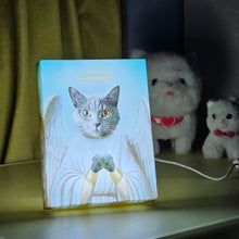 Heavenly Whiskers - Angel Cat Portrait Canvas with LED Halo Lighting