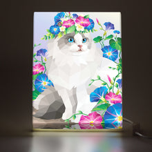 Persian Cat 6x8 Inch Canvas Mood Lamp - USB-Powered, Adjustable Brightness