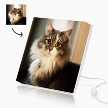 Personalized Mood Light Canvas - Dog, Cat, Birds,Horse, Meme Photo