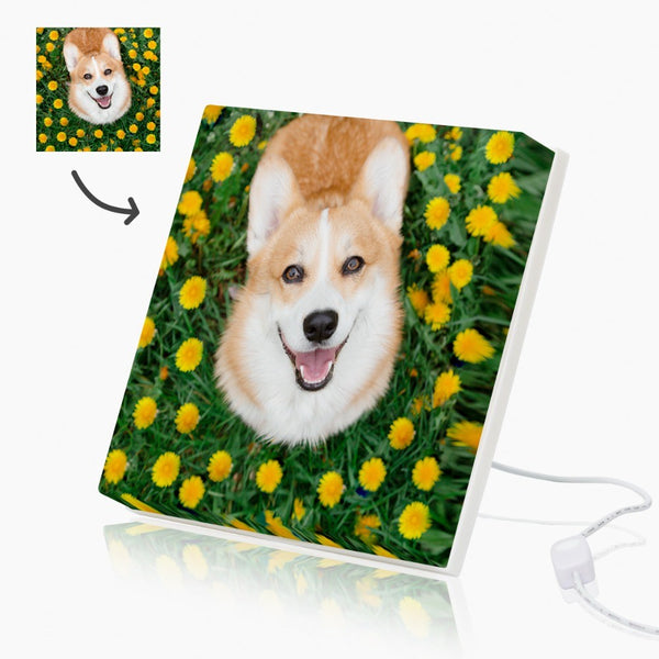 Personalized Mood Light Canvas - Dog, Cat, Birds,Horse, Meme Photo
